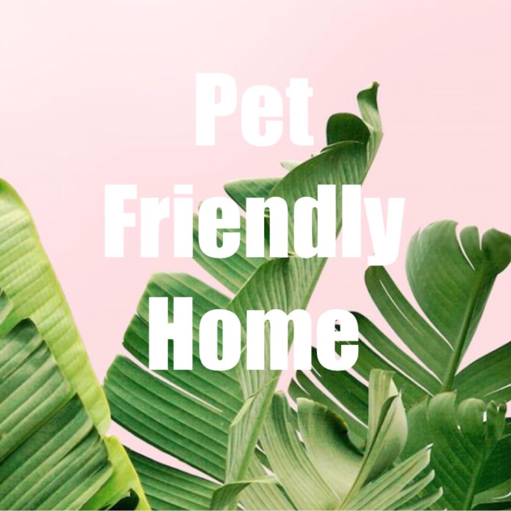 Smoke Free Pet Friendly Home 😀